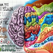 Your Brain and Mindfulness